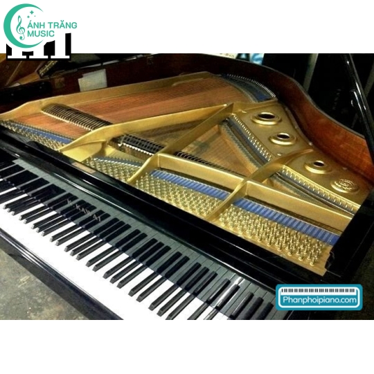 Đàn Kawai Grand Piano KG-1C