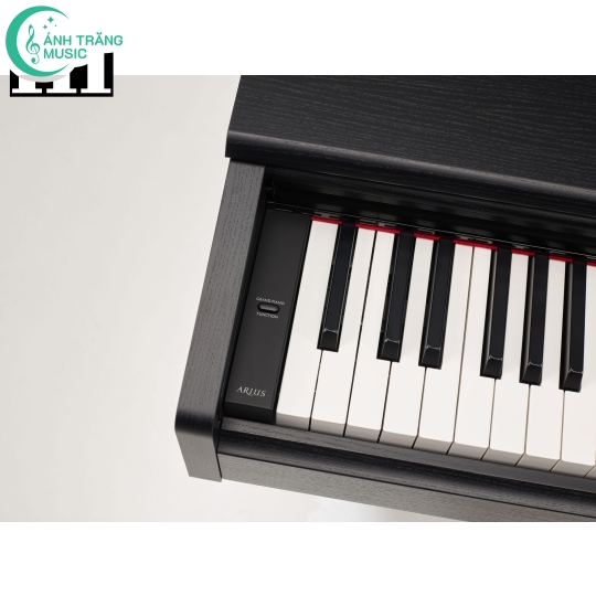 YDP-105 