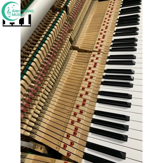 KAWAI BL 31