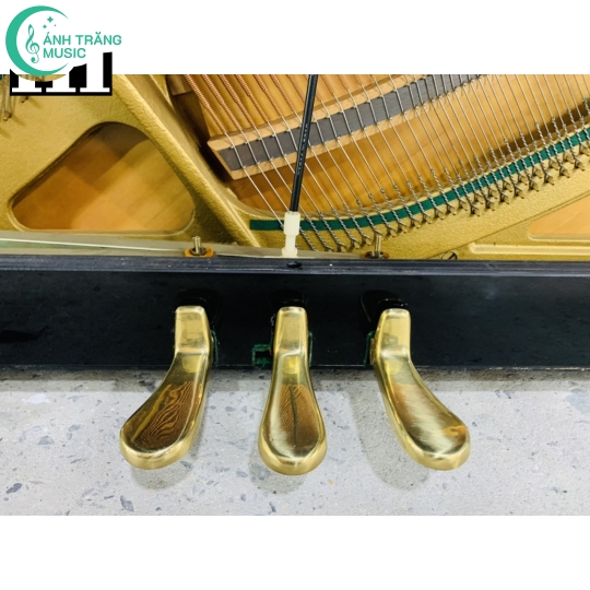 KAWAI BL 31