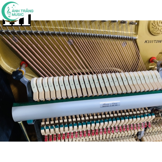 KAWAI BL 31